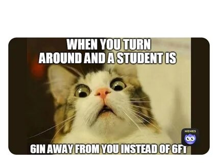 Post by @mr_kingdoge Memes.