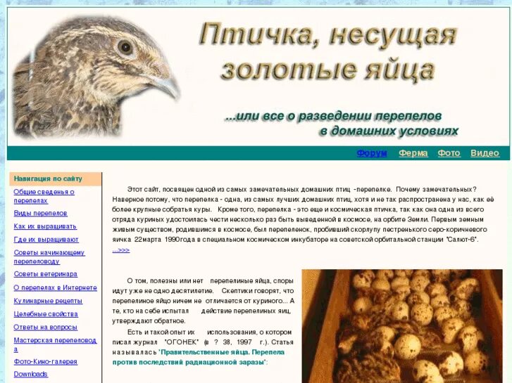 Почему перепелка несет