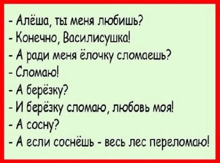 Анекдот про можно. Анекдот про сосну. Анекдот про сосну весь лес. Анекдот а если сосну. Анекдот про сосну и берёзу.