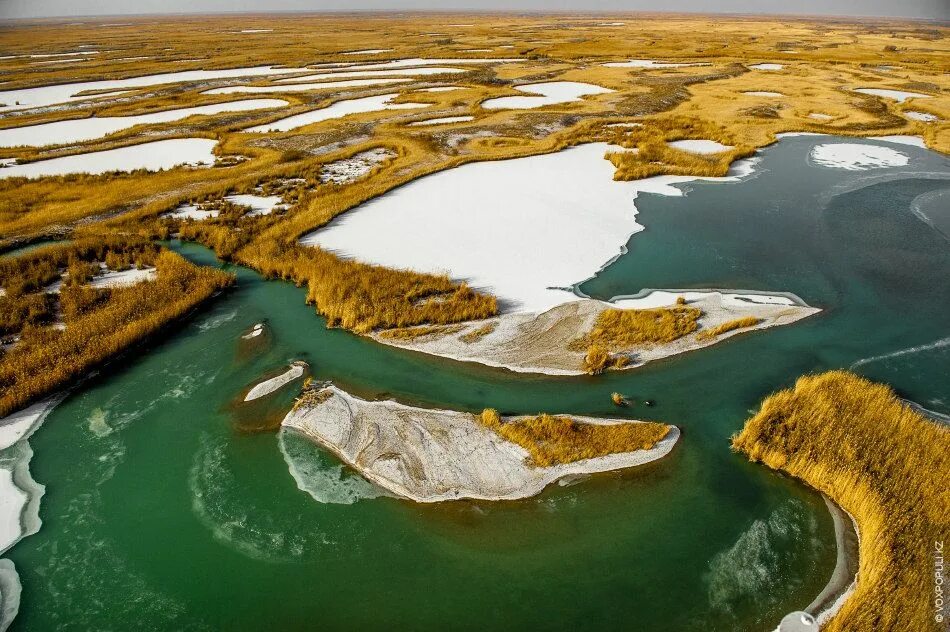Ала түсті. Река или в Казахстане. Дельтовые озера. Речной ландшафт. Ландшафт Казахстана.