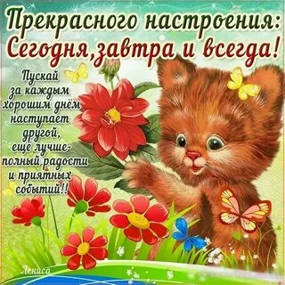 Доброго дня друзья поздравления