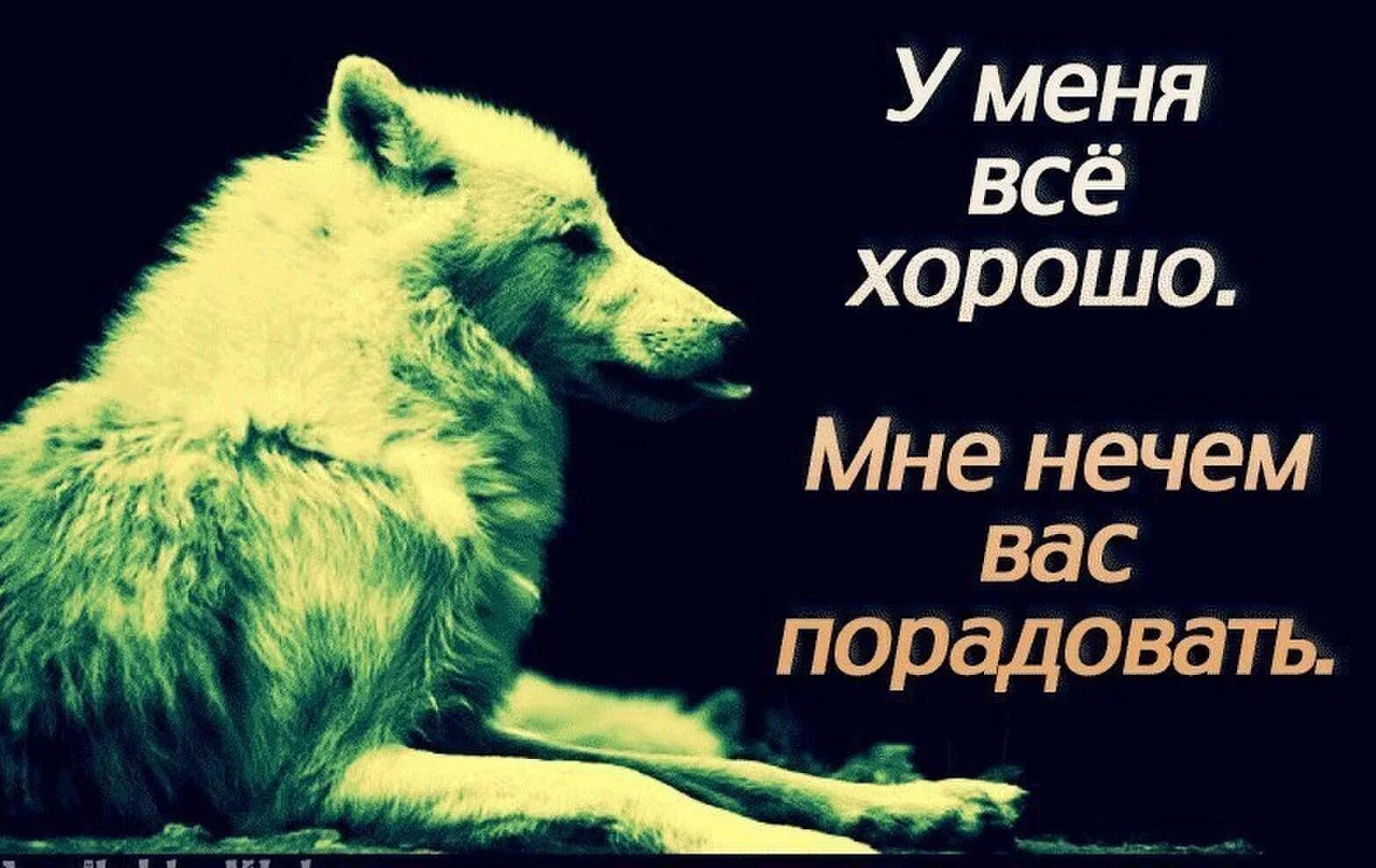Хочешь обрадую