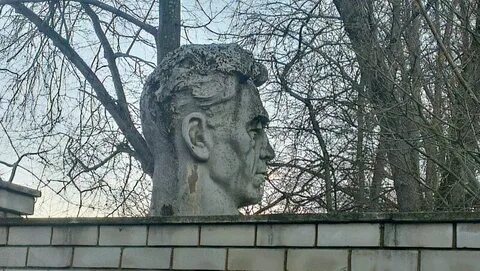 Реабилитация вучетича