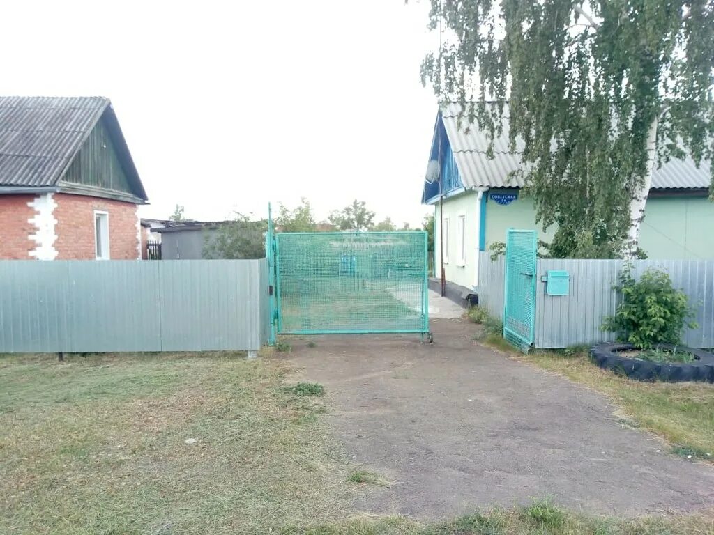 Село прииртышье. Омская обл марьяновский р-н райнфельд д население. Село прииртышье омская область. Село прииртышье омская область. Погода прииртышье омская область.