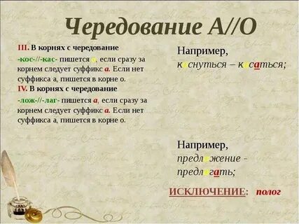 10 слов кос