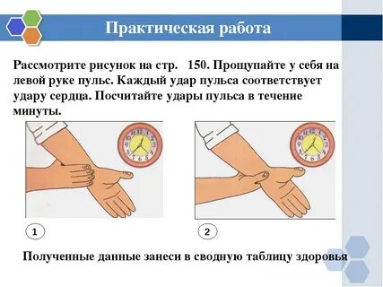 Как проверить пульс на руке самостоятельно