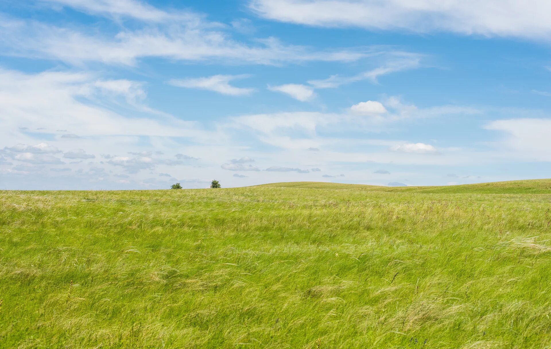 Урал лоенбургские сткпи. Лесостепи южного урала. Природа южного урала степи. Равнины урала. Равнины урала.