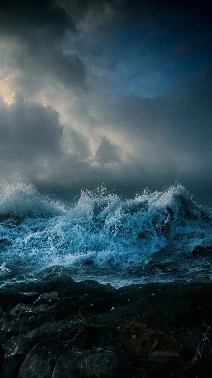 Спасение в идеальный шторм. Шторм z минобороны отряд. Знак шторм z. Шторм z. Шторм на азовском море.