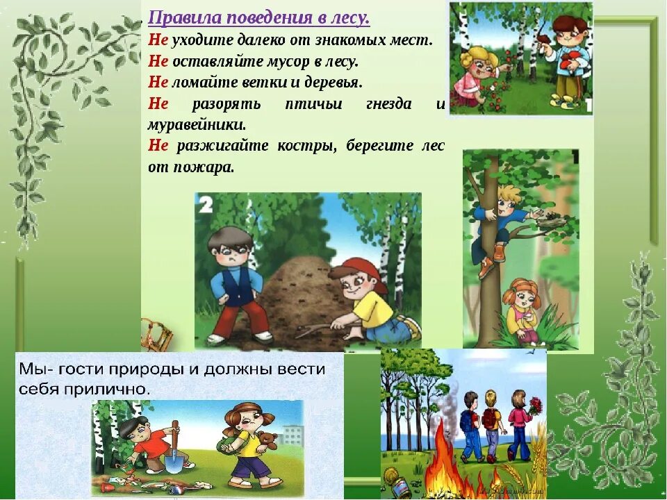 Правила поведения на воде и в лесу. Правила поведения в дему. правилаповедение в лесу. правила поведения в лесу. безопасное поведение в лесу.