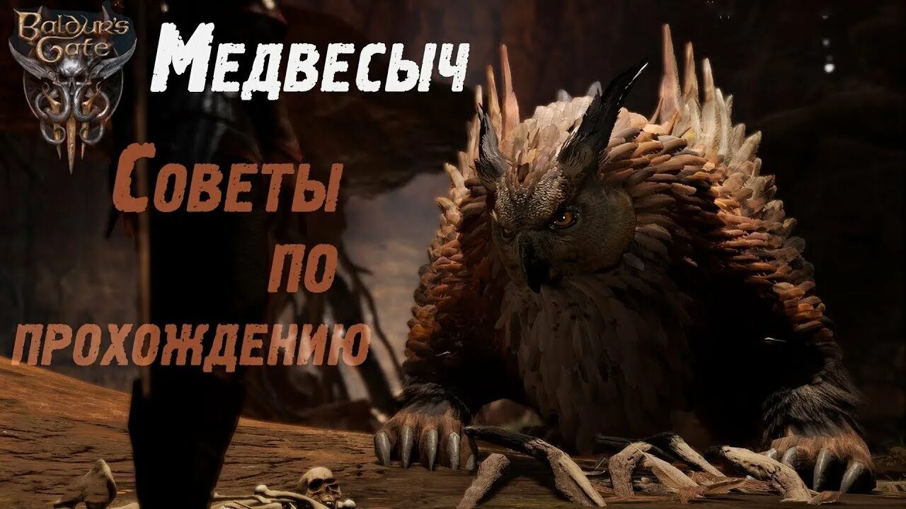 Как спасти медвесыча baldur s. Baldur&#039;s gate 3 медвесыч. baldur&#039;s gate 3 медвесыч детеныш. медвесыч.
