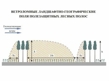 Закономерности ландшафта