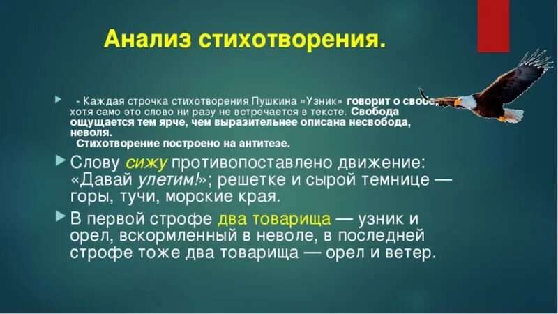 Пушкин узник проблематика средства изображения 6 класс. Анализ стихотворения узник. анализ стиха пушкина узник. стихотворение узник. анализ стихотворения узник пушкина.