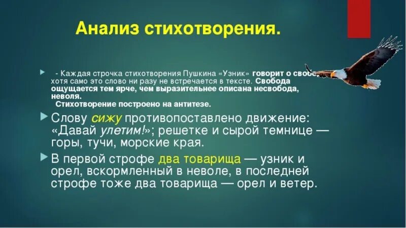 Стихотворение пушкина 6 класс. Анализ стихотворения узник. Анализ стиха Пушкина узник. Стихотворение узник. Анализ стихотворения узник Пушкина.