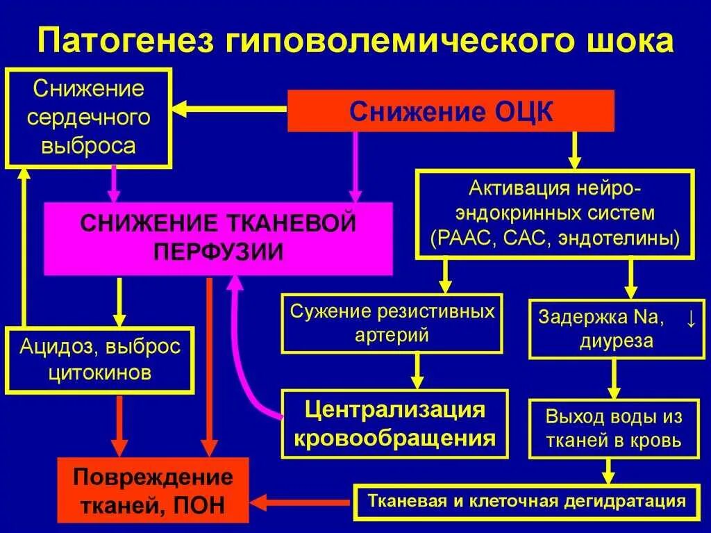 Стадии нарушения кровообращения. Патогенез шока патофизиология схема. Патогенез гиповолемического шока схема. Этиология и патогенез гиповолемического и кардиогенного шока. Механизм развития гиповолемического шока.