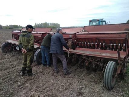 Отчеты сельское хозяйство