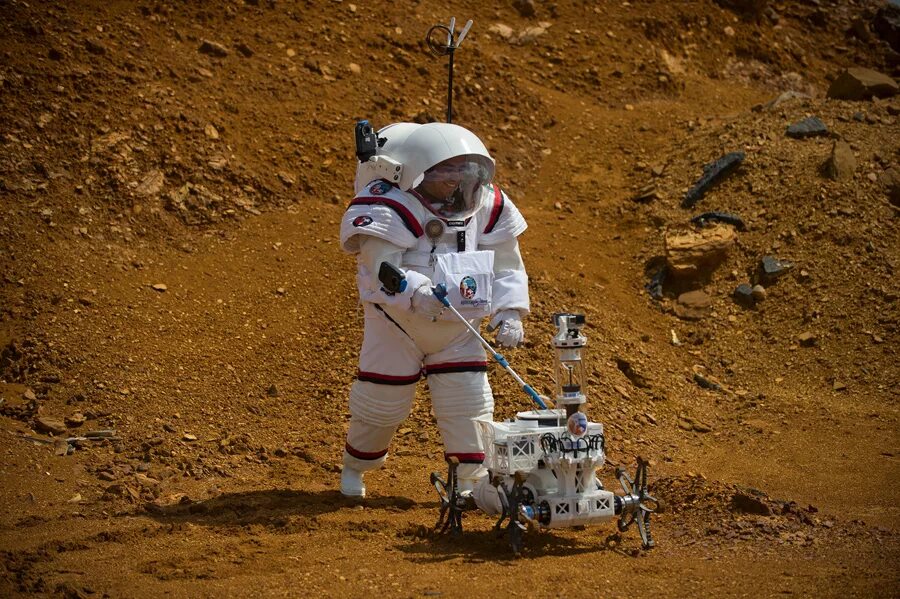 Moon robots