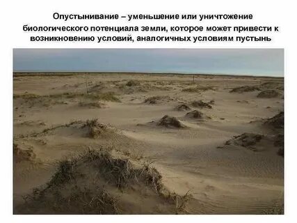 Виды загрязнений арктическое опустынивание европа таблица