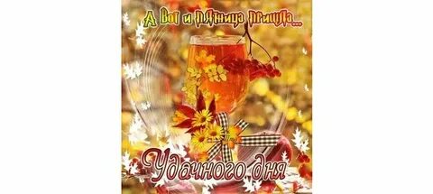 Утро пятницы осень