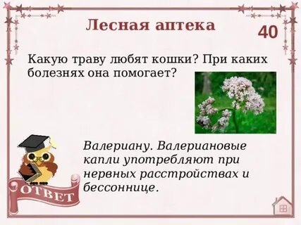 Какую траву любят