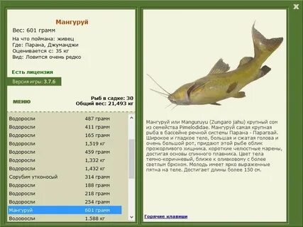 Семейство рыб список