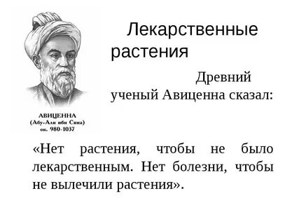 Авиценна это