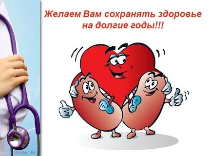 Почечное здоровье