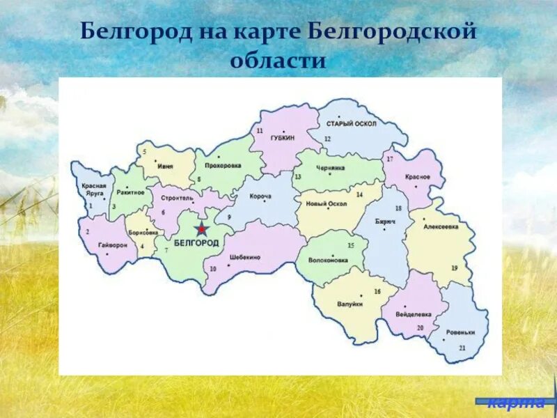 С чем граничит белгородская область с украиной. Контурная карта Белгородской области. Белгородская область районы граничит. Карта Белгородской области граница с Украиной. Карта Белгородской области контур.