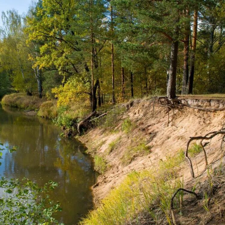 Люди мещеры. Река Клязьма Сушнево. Демьянов обрыв Шатура. Мещера Клязьма. Мещера поход.