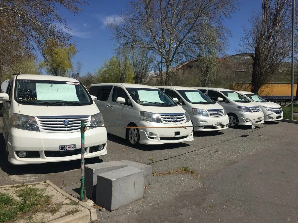 Услуги растаможки авто владивосток. Растаможивание машины. Услуги растаможки авто владивосток. Автомобили в порту. Таможня авто.