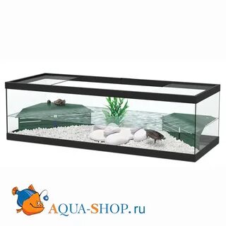 Черепашник