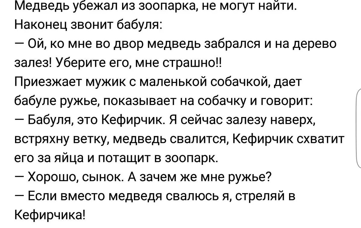 Стреляй в кефирчика анекдот. Анекдот кефирчик медведь. Анекдот про медведя в зоопарке. Пес кефирчик анекдот.