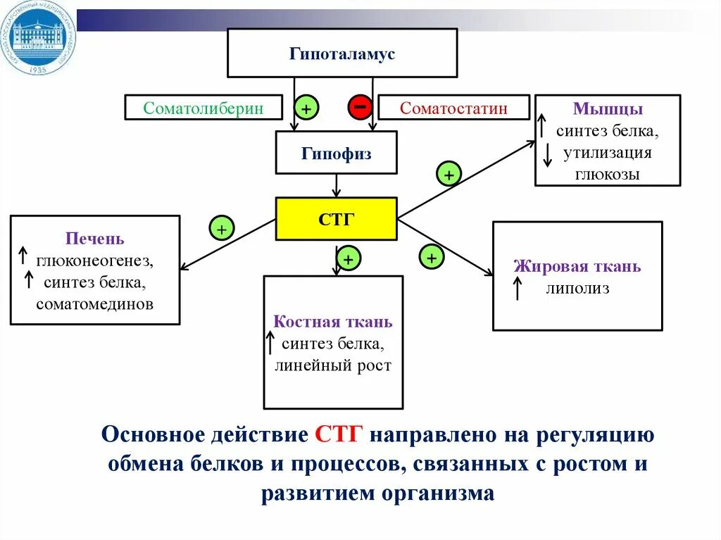 Гормоны обмена кальция и фосфора. Схема регуляции обмена кальция. схема регуляции кальциевого обмена. гормональная регуляция обмена кальция. фосфорно-кальциевый обмен схема.