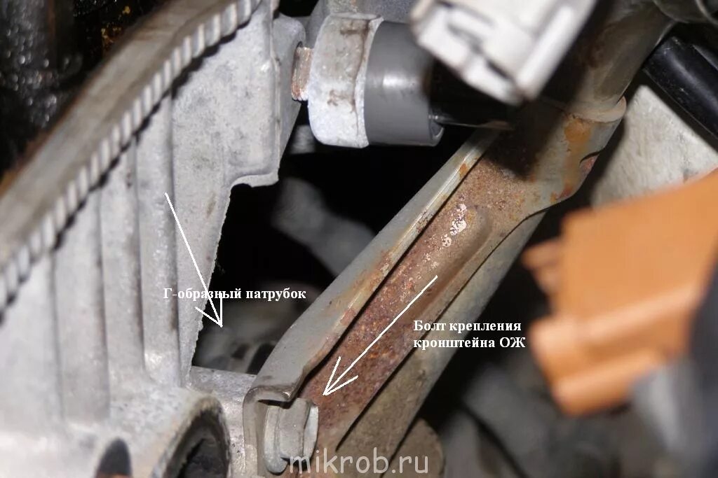 Где находится номер двигателя 3s Решетка под лобовое стекло 55781-32050 на Toyota Camry SV30 Купить запчасть ш/