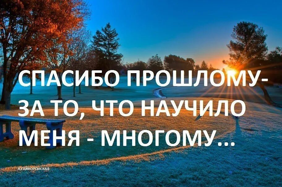 Афоризмы про благодарность. Благодарность цитаты. Благодарю жизнь цитаты. Высказывания о благодарности. Я прошла мне понравилось