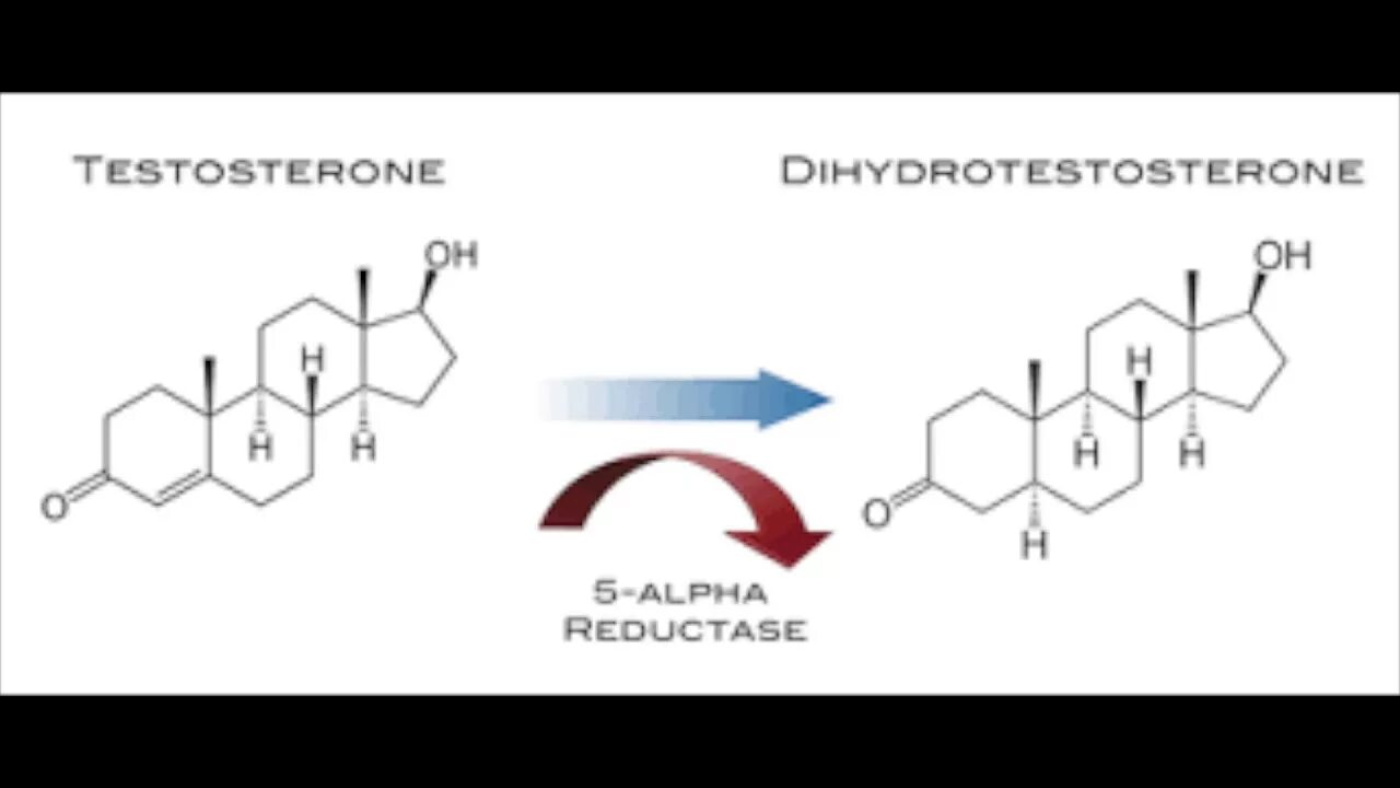 Тестостерон отпускаю. Ингибиторы 5 Альфа редуктазы. Синтез тестостерона схема. Тестостерон эстрадиол Альфа редуктаза. Превращение тестостерона в дигидротестостерон.