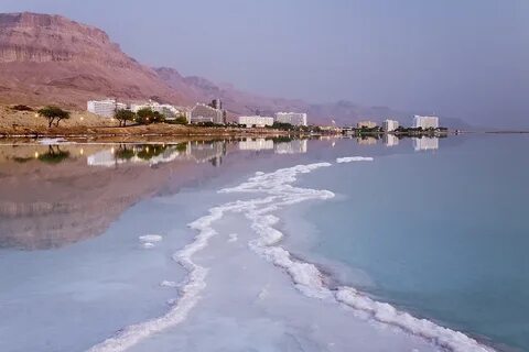 Dead sea игра