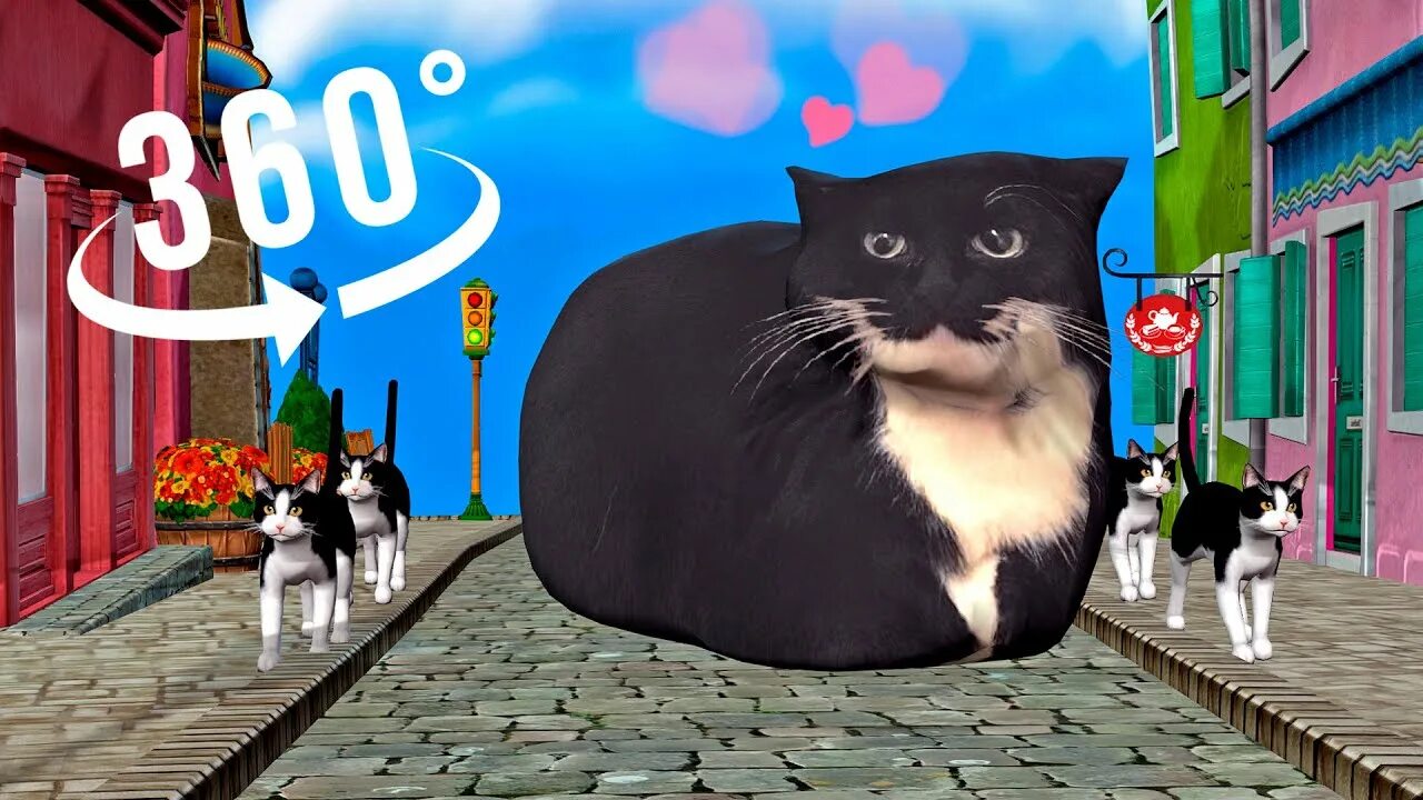 360 animations. 360 animations
