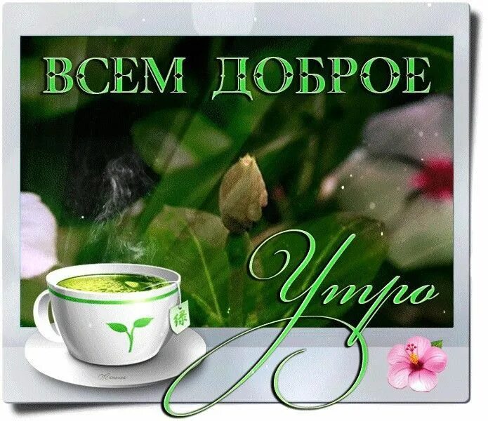 С 31 июля доброе утро. С добрым утром. открытки с добрым утром весенние. доброе утро всем. открытки с добрым утром субботы.