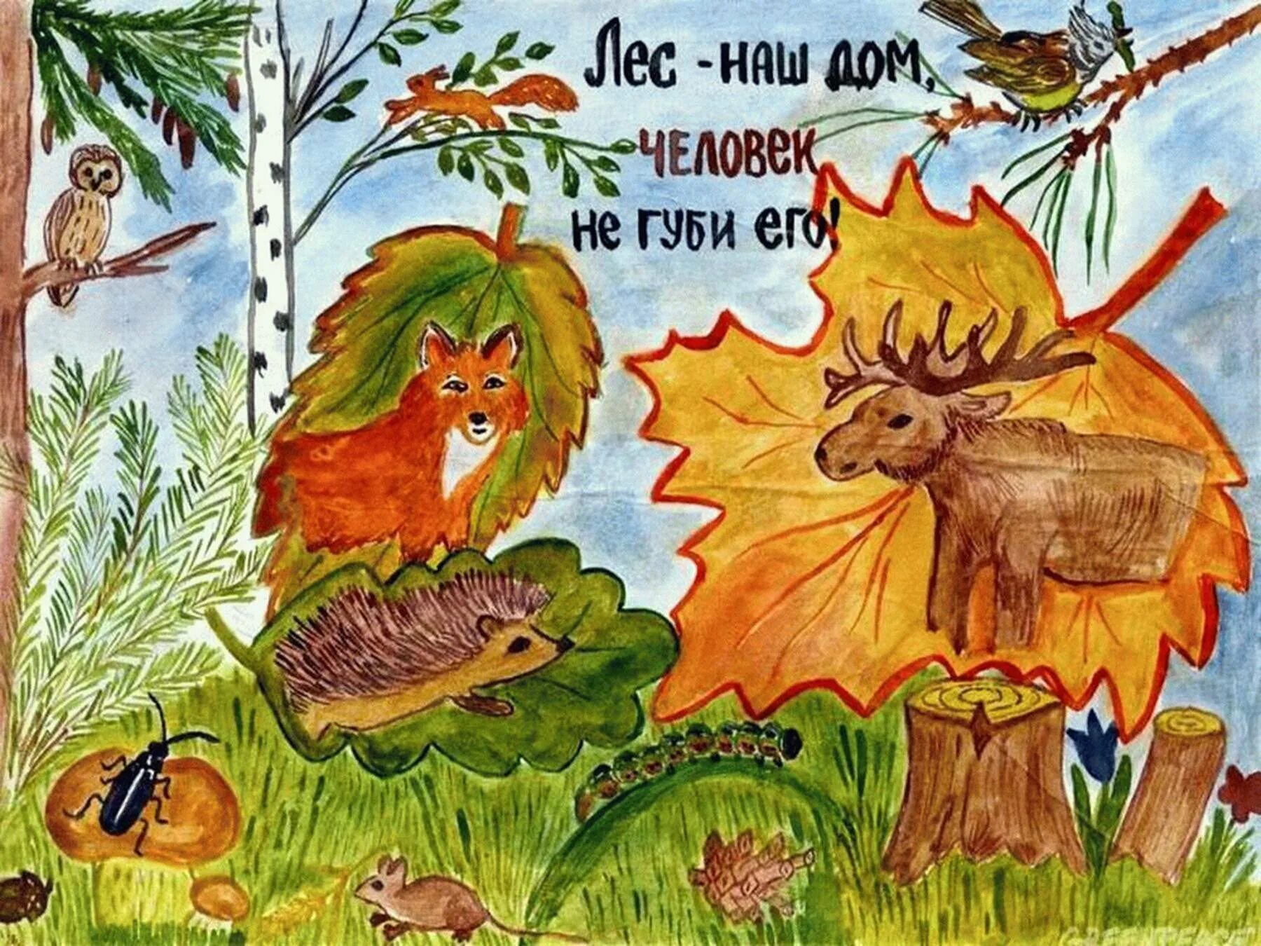 Рисунок на тему береги природу. Берегите природу и животных. Плакат берегите животных. Береги природу и животное. Знаки защиты природы и животных.