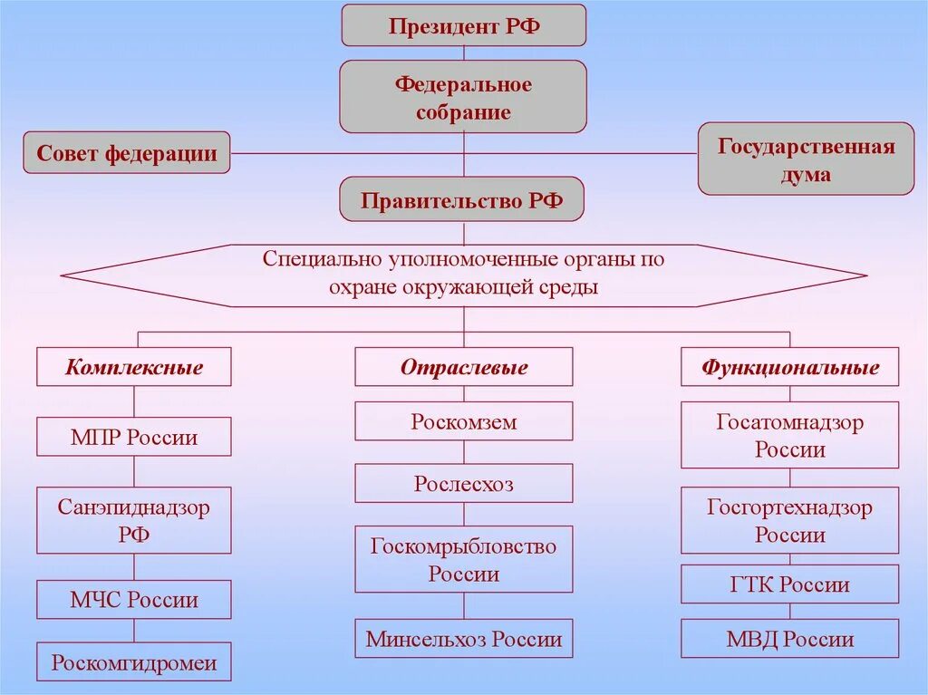 Что делает совет рф. Гос Дума Федеральное собрание совет Федерации правительство РФ.