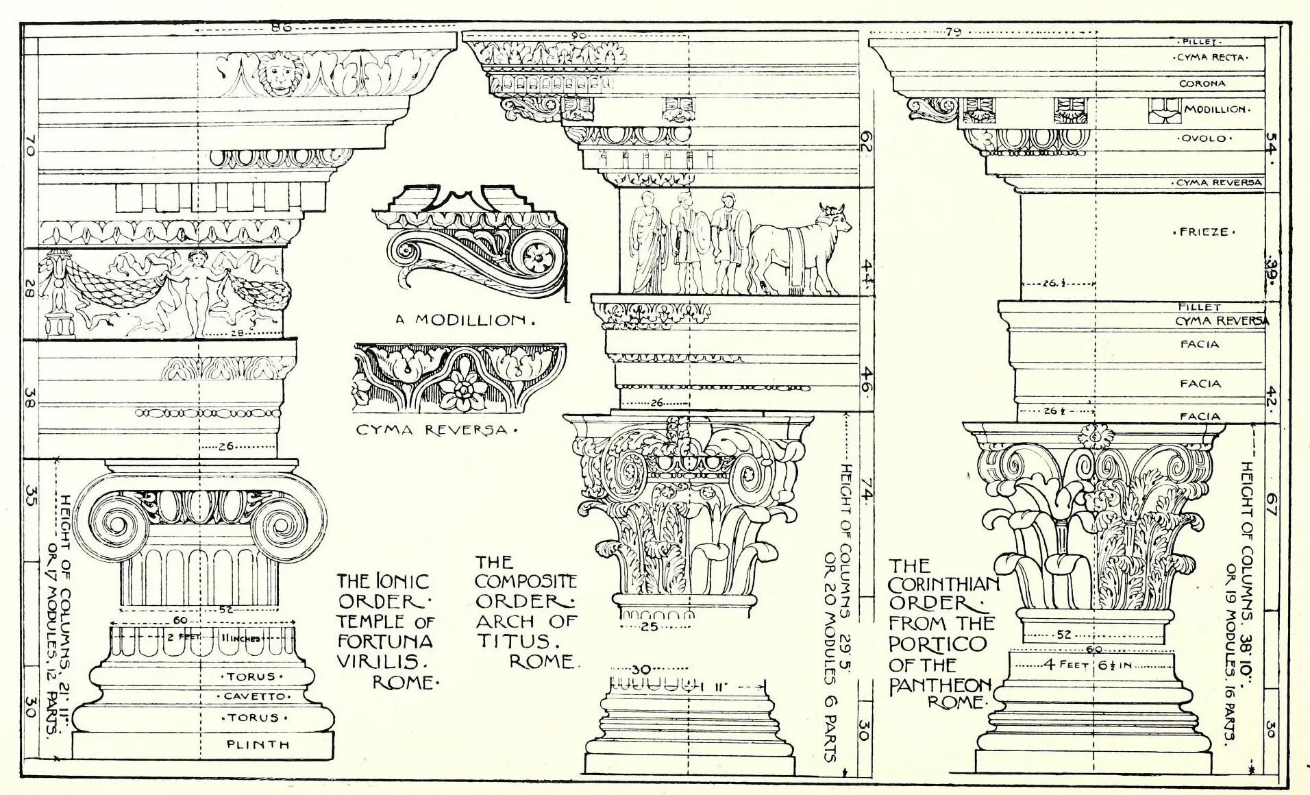 Ордер попова. Антаблемент Коринфского ордера. Капитель Коринфского ордера. Храм фортуны Вирилис в Риме чертежи. Построение капители Коринфского ордера.