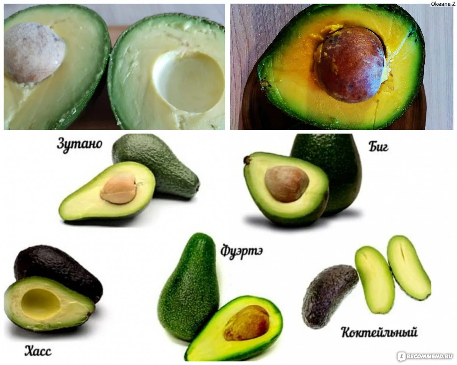 Спелый авокадо мягкий. Авокадо сорт Дэй. Сорт Зутано авокадо. Авокадо сорт Хаас. Авокадо зеленый сорт.