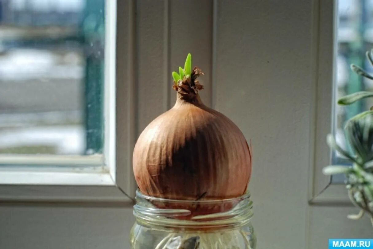 Glass Growing Out of a Head. Stock Photo - Image of humour, ecology: 39801150