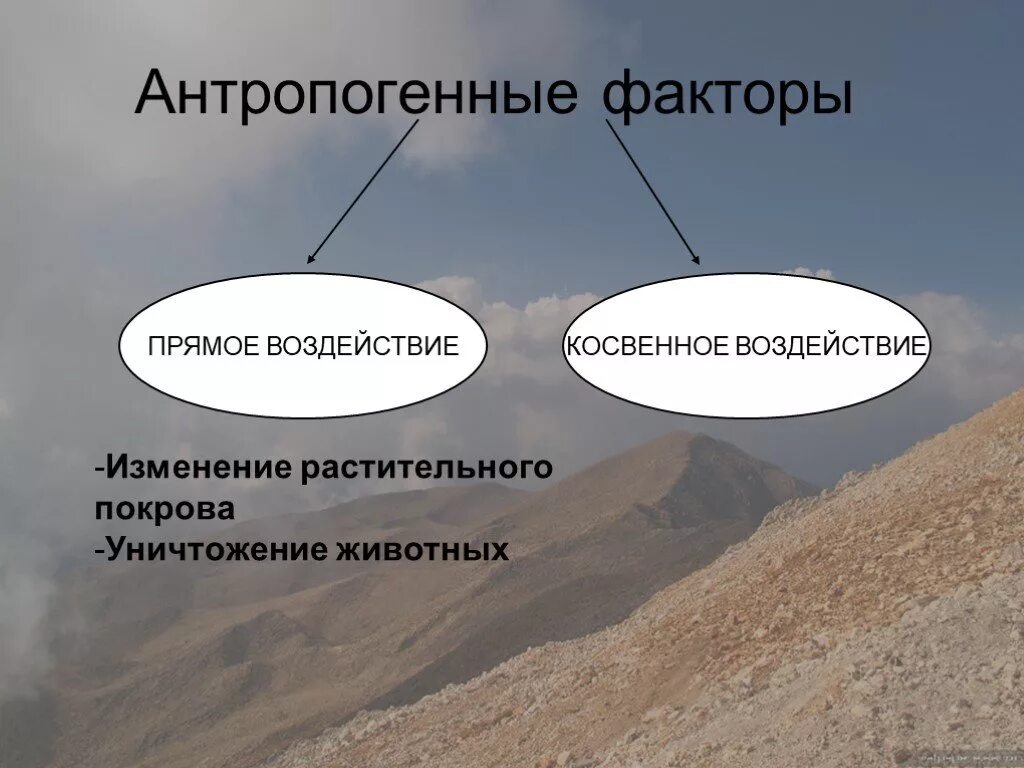 Антропогенные факторы прямого и косвенного воздействия. Прямое и косвенное антропогенное воздействие. Антропогенные факторы. Антропогенное прямое влияние. Влияние факторов прямое косвенное