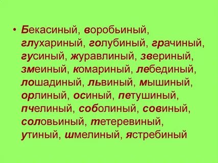 Львиный прилагательное