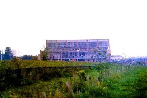 День краснообска