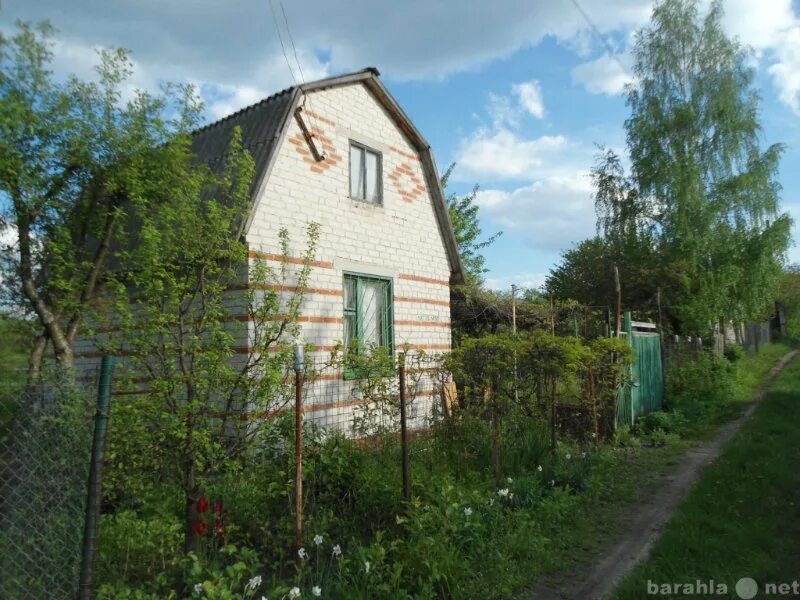 Малые дубки
