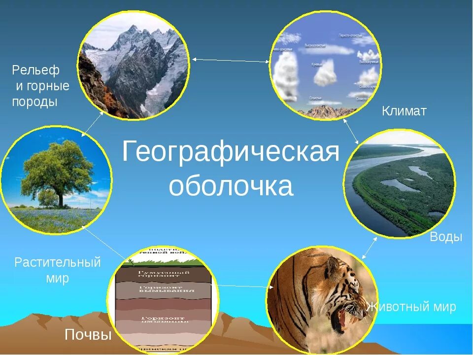Элементами природы являются