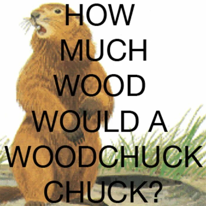 How much Wood would a Woodchuck Chuck скороговорка. Chuck Wood скороговорка. How much Wood скороговорка. Вуд Чак Чак.