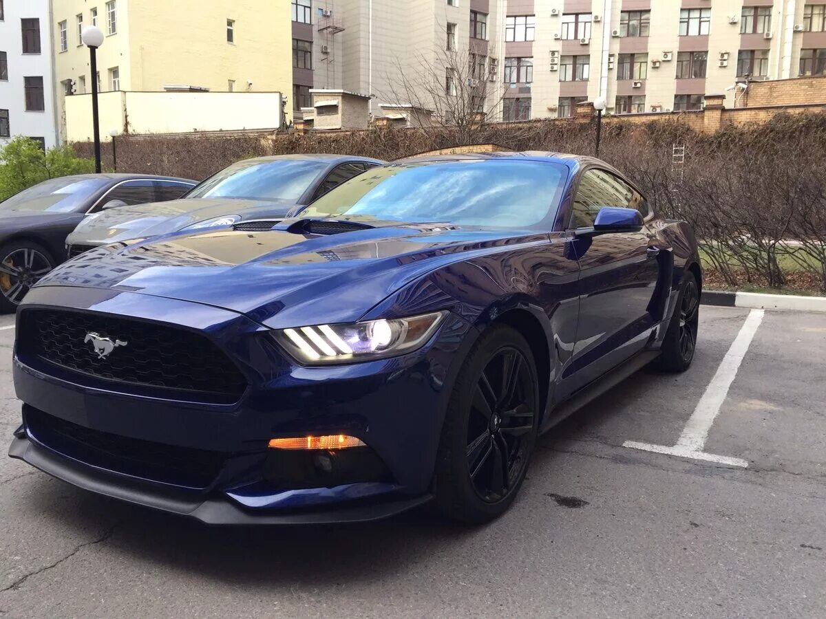 Форд мустанг москва. Форд Мустанг 2015 синий. Форд Мустанг vi. Ford Mustang vi синий. Ford Mustang vi, 2015.